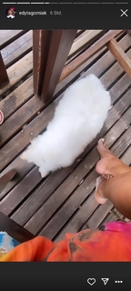Edyta Górniak feet photo thumbnail