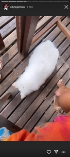 Edyta Górniak feet photo thumbnail