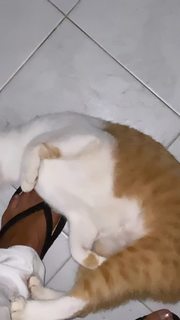 Edyta Górniak feet photo thumbnail