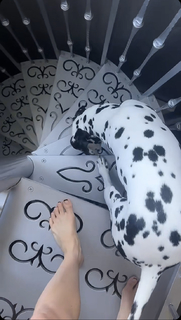 Amanda Cerny feet photo thumbnail