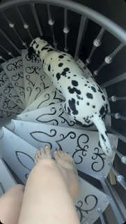 Amanda Cerny feet photo thumbnail