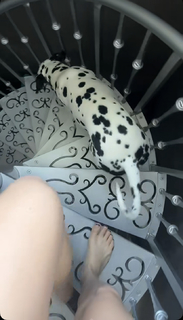 Amanda Cerny feet photo thumbnail