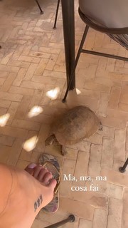 Ludovica Pagani feet photo thumbnail