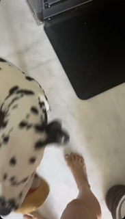 Amanda Cerny feet photo thumbnail