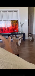 Karolina Kowalkiewicz feet photo thumbnail