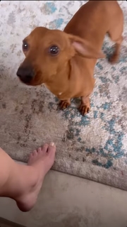 Debbie Gibson feet photo thumbnail