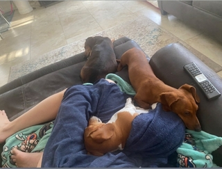 Debbie Gibson feet photo thumbnail