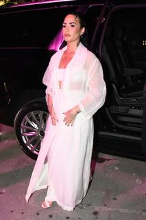 Demi Lovato feet photo thumbnail