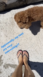 Constance Marie feet photo thumbnail