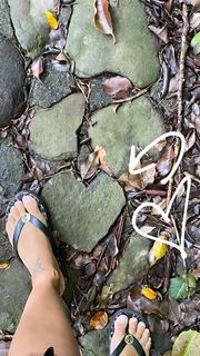 Vida Guerra feet photo thumbnail