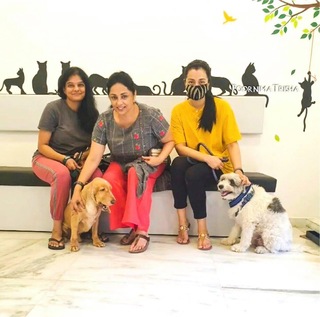 Trisha Krishnan feet photo thumbnail
