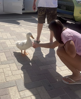 Karolina Kowalkiewicz feet photo thumbnail
