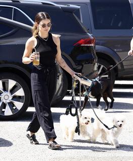 Lucy Hale feet photo thumbnail