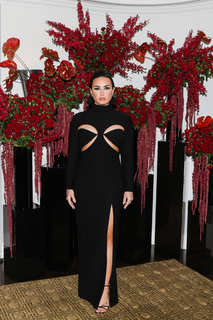 Demi Lovato feet photo thumbnail