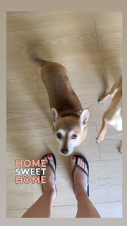 Angela Kinsey feet photo thumbnail
