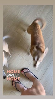 Angela Kinsey feet photo thumbnail