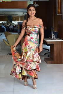 Shriya Saran feet photo thumbnail