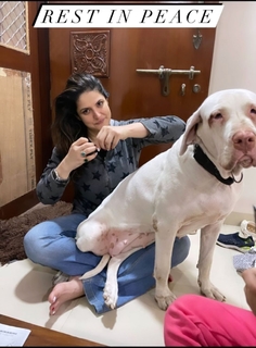 Zareen Khan feet photo thumbnail