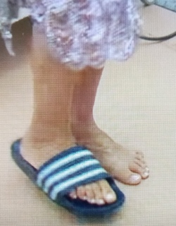 Andrea Kiewel feet photo 5