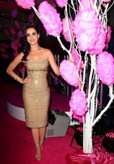 Katy Perry feet photo thumbnail