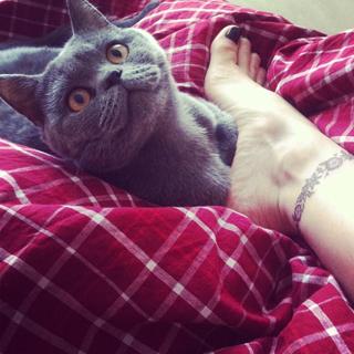 Mine Tugay feet photo 5