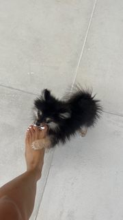 Alia Shelesh feet photo thumbnail