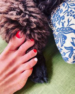 Jordana Brewster feet photo thumbnail