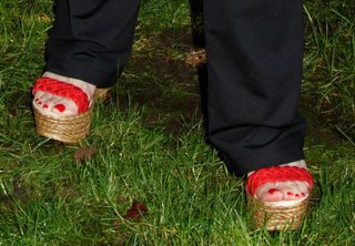 Stevie Nicks feet photo 2
