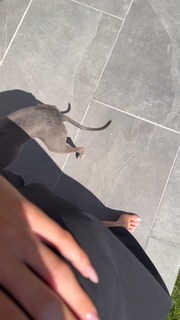Kylie Jenner feet photo thumbnail