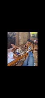 Stamatina Tsimtsili feet photo thumbnail