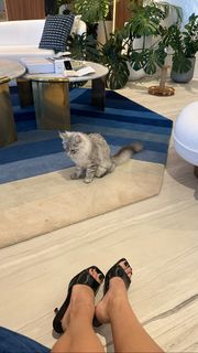 Charly Jordan feet photo thumbnail