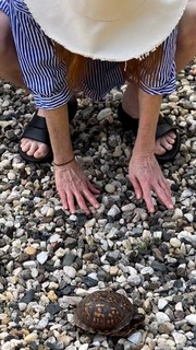 Julianne Moore feet photo thumbnail