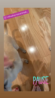 Angela Kinsey feet photo thumbnail
