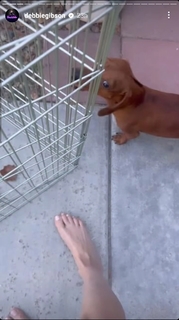 Debbie Gibson feet photo thumbnail