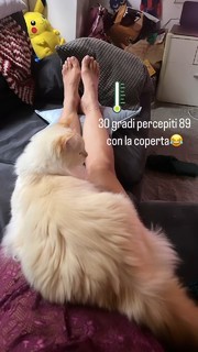 Melita Toniolo feet photo thumbnail