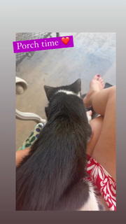 Angela Kinsey feet photo thumbnail