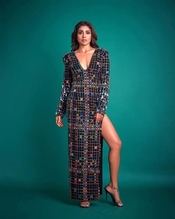 Shriya Saran feet photo thumbnail