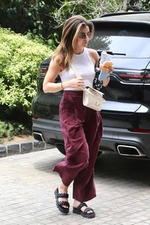 Lucy Hale feet photo thumbnail
