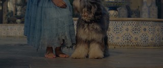 Halle Bailey feet photo thumbnail