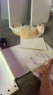 Melita Toniolo feet photo thumbnail