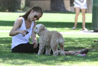 Minka Kelly feet photo thumbnail