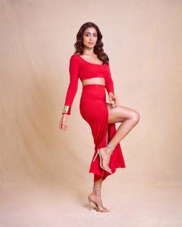 Shriya Saran feet photo thumbnail
