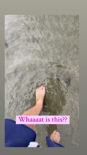 Angela Kinsey feet photo thumbnail
