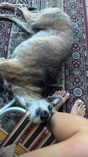 Marta Wierzbicka feet photo thumbnail