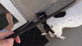 Rachel Ballinger feet photo thumbnail