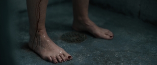 Anna Camp feet photo 4