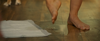 Lucy Hale feet photo thumbnail