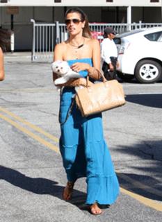 Alessandra Ambrosio feet photo thumbnail