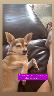 Angela Kinsey feet photo thumbnail