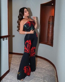 Haifa Wehbe feet photo thumbnail